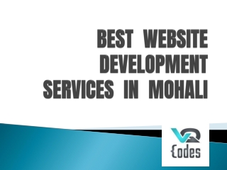 Best Website Development Services in Mohali