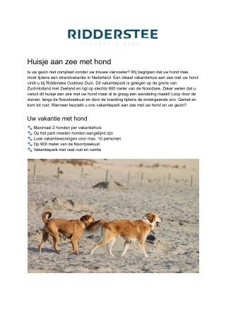 Ridderstee - Huisje aan zee met hond