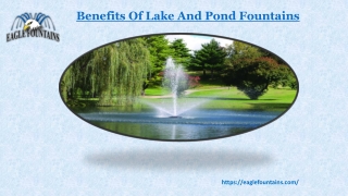 Benefits of Lake and Pond Fountains