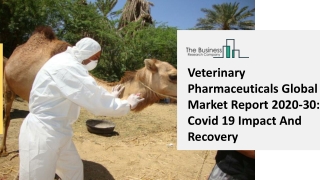Veterinary Pharmaceuticals Global Market Report 2020-30