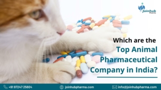 Which are the top Animal Pharmaceutical Company in India?