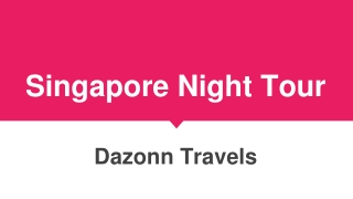 Singapore Night Tour