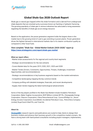 2021 Shale Gas Industry Global Analysis Report