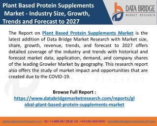 Global Plant Based Protein Supplements Market