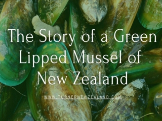 The Story of a Green-Lipped Mussel of New Zealand