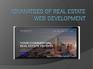 ADVANATGES OF REAL ESTATE WEB DEVELOPMENT