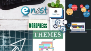Best Wordpress theme customization service