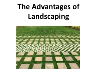 The Advantages of Landscaping