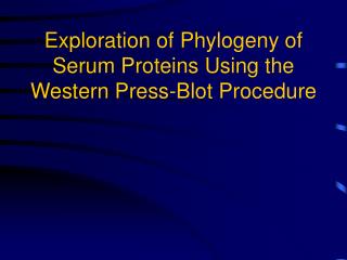 Exploration of Phylogeny of Serum Proteins Using the Western Press-Blot Procedure
