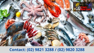 Fish and Seafood Wholesaling in Australia