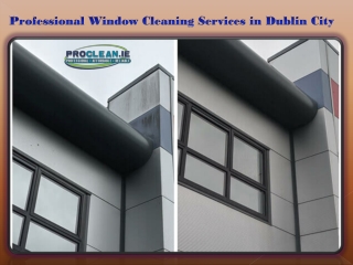 Professional Window Cleaning Services in Dublin City