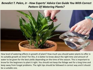 Benedict T. Palen, Jr - How Experts’ Advice Can Guide You With Correct Pattern O