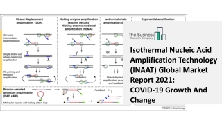 Isothermal Nucleic Acid Amplification Technology (INAAT) Market Overview