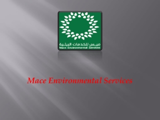 Rat extermination near me for removing rats and rodents