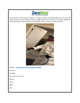 Mold Removal Company Arlington Heights  Zeromoldchicago.com