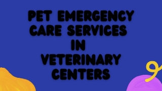 Pet Emergency Care Services in Veterinary Centers