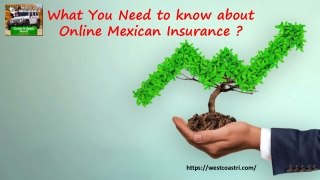 What you need to know about Mexican Insurance