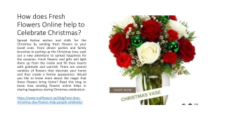 Why fresh flowers are best for Christmas celebration?