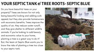 YOUR SEPTIC TANK & TREE ROOTS- SEPTIC BLUE