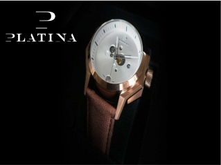 Swiss luxury watches
