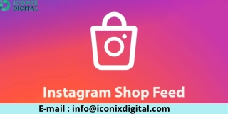 Eager to know the way to add the Instagram feed to Shopify