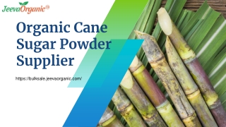 Organic Cane Sugar Powder Supplier | Bulk Cane Sugar Powder Supplier