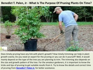 Benedict T. Palen, Jr - What Is The Purpose Of Pruning Plants On Time?