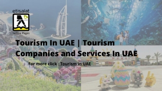 Tourism In UAE  Tourism Companies and Services In UAE