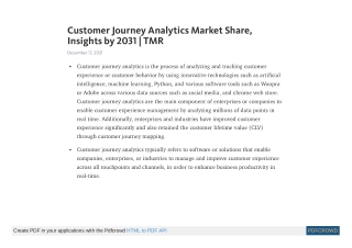 Customer Journey Analytics Market Share, Insights by 2031