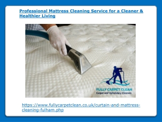 Professional Mattress Cleaning Service for a Cleaner