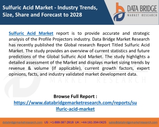 Sulfuric Acid Business growth, Industry Trends and Forecast