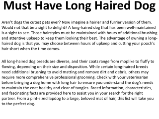 Must Have Long Haired Dog