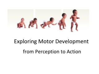 Exploring Motor Development from Perception to Action