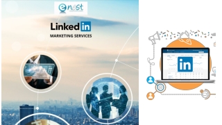 Linkedin Marketing Services in Delhi