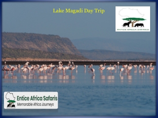 Lake Magadi Day Trip
