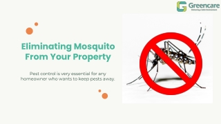 Eliminating Mosquito from your property – Greencare