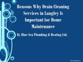 Reasons Why Drain Cleaning Services in Langley Is Important for Home Maintenance