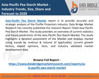 Asia-Pacific Pea Starch Market Size, Future Opportunities and Growth Demand