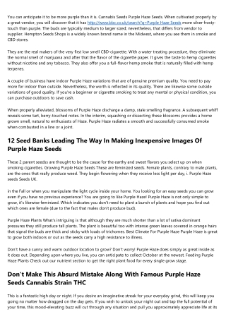 18 Aspects Of Cannabis Strain Purple Haze Seeds You Might Not Have Actually Unde