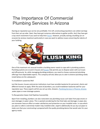 The Importance Of Commercial Plumbing Services In Arizona