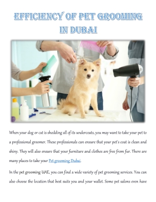 Efficiency of Pet Grooming in Dubai