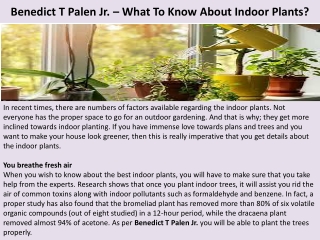 Benedict T Palen Jr. – What To Know About Indoor Plants?