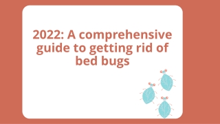 2022 A comprehensive guide to getting rid of bed bugs