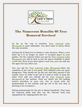 The Numerous Benefits Of Tree Removal Services