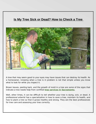 How Can You Determine if a Tree is Sick or Dying?