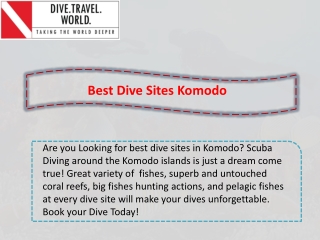 Best Dive Sites Komodo