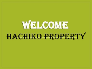 Best Letting Agents in Haggerston