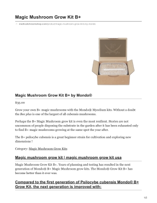 Magic Mushroom Grow Kit B
