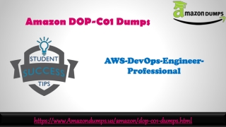 Amazon DOP-C01 Dumps Latest Online Test Engine