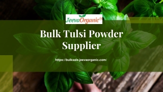 Organic Holy Basil Powder Supplier | Bulk Tulsi Powder Supplier